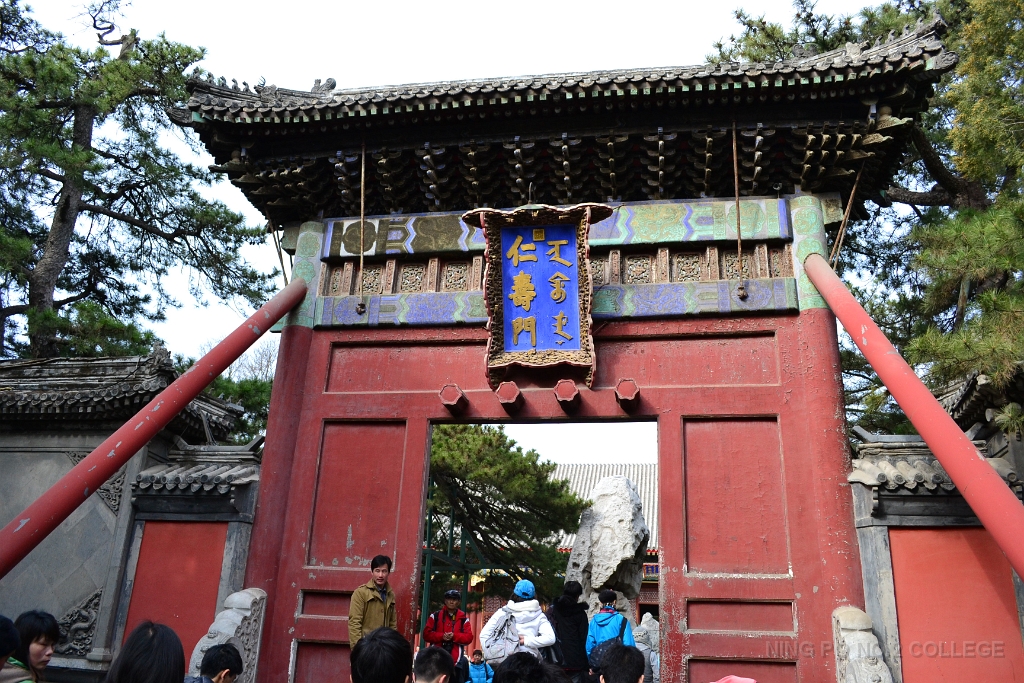 china (28)